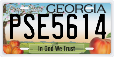 GA license plate PSE5614