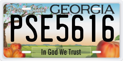 GA license plate PSE5616
