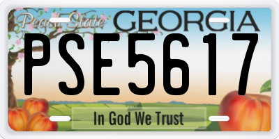 GA license plate PSE5617