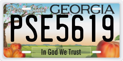 GA license plate PSE5619