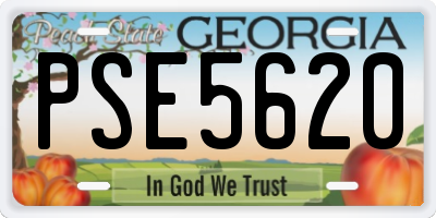 GA license plate PSE5620
