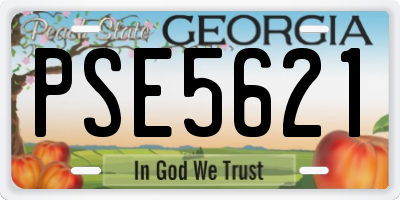 GA license plate PSE5621