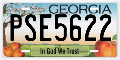 GA license plate PSE5622