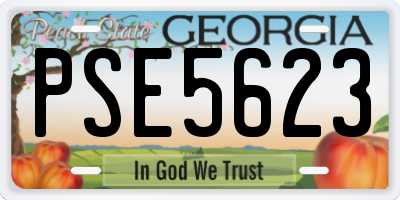 GA license plate PSE5623