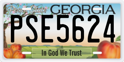 GA license plate PSE5624