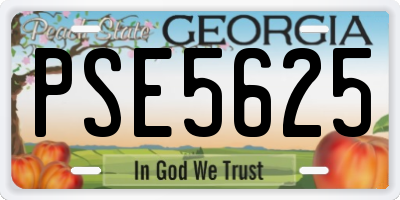 GA license plate PSE5625