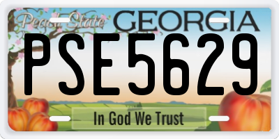 GA license plate PSE5629