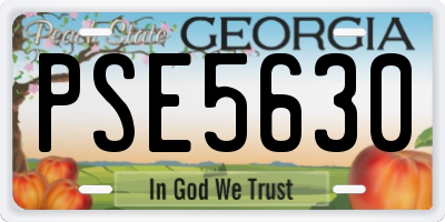 GA license plate PSE5630