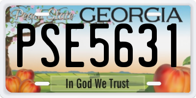 GA license plate PSE5631
