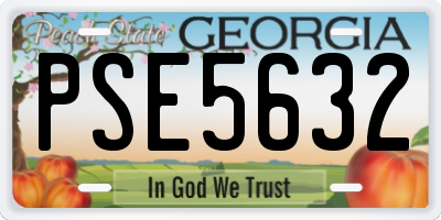 GA license plate PSE5632