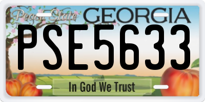 GA license plate PSE5633
