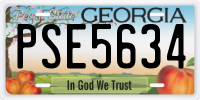 GA license plate PSE5634