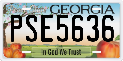 GA license plate PSE5636