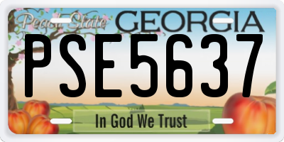 GA license plate PSE5637