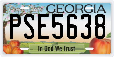 GA license plate PSE5638