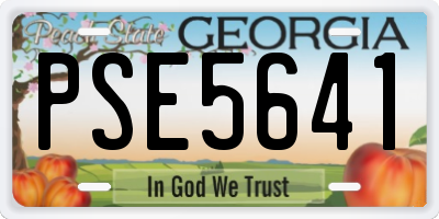 GA license plate PSE5641