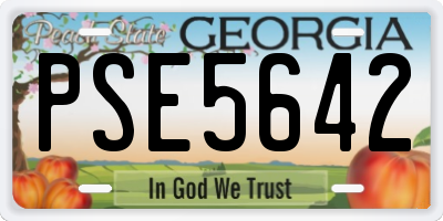 GA license plate PSE5642