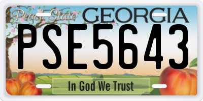 GA license plate PSE5643