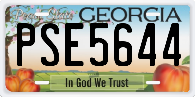 GA license plate PSE5644