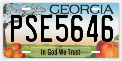 GA license plate PSE5646