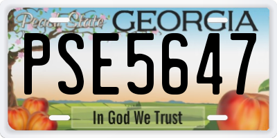 GA license plate PSE5647