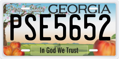 GA license plate PSE5652