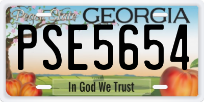 GA license plate PSE5654