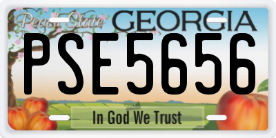 GA license plate PSE5656