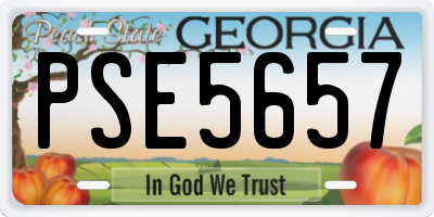 GA license plate PSE5657