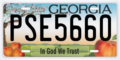 GA license plate PSE5660