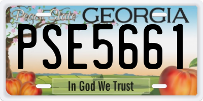 GA license plate PSE5661