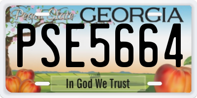 GA license plate PSE5664