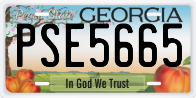 GA license plate PSE5665