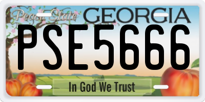 GA license plate PSE5666