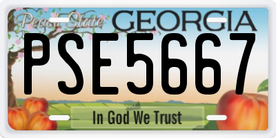 GA license plate PSE5667