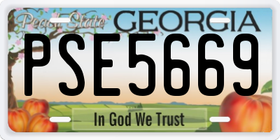 GA license plate PSE5669