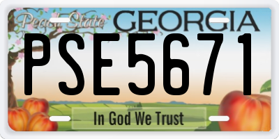 GA license plate PSE5671