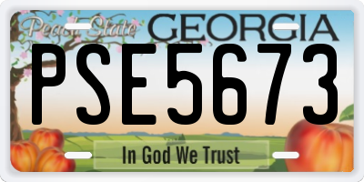 GA license plate PSE5673