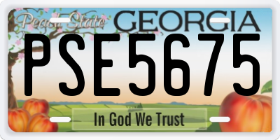 GA license plate PSE5675