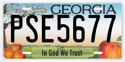GA license plate PSE5677