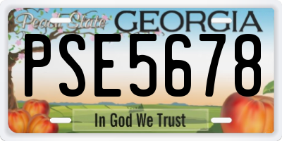 GA license plate PSE5678