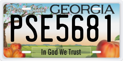 GA license plate PSE5681