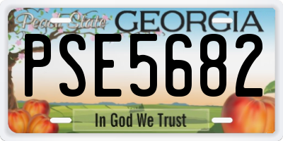 GA license plate PSE5682