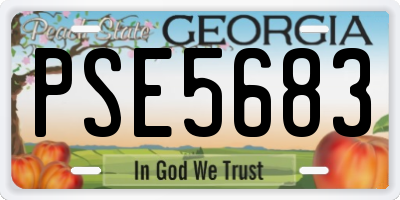 GA license plate PSE5683