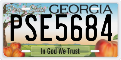 GA license plate PSE5684