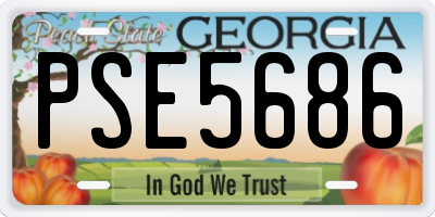 GA license plate PSE5686