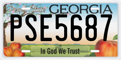 GA license plate PSE5687