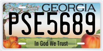GA license plate PSE5689
