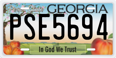 GA license plate PSE5694