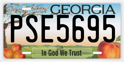 GA license plate PSE5695